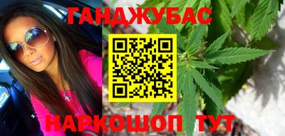 индика Лесосибирск