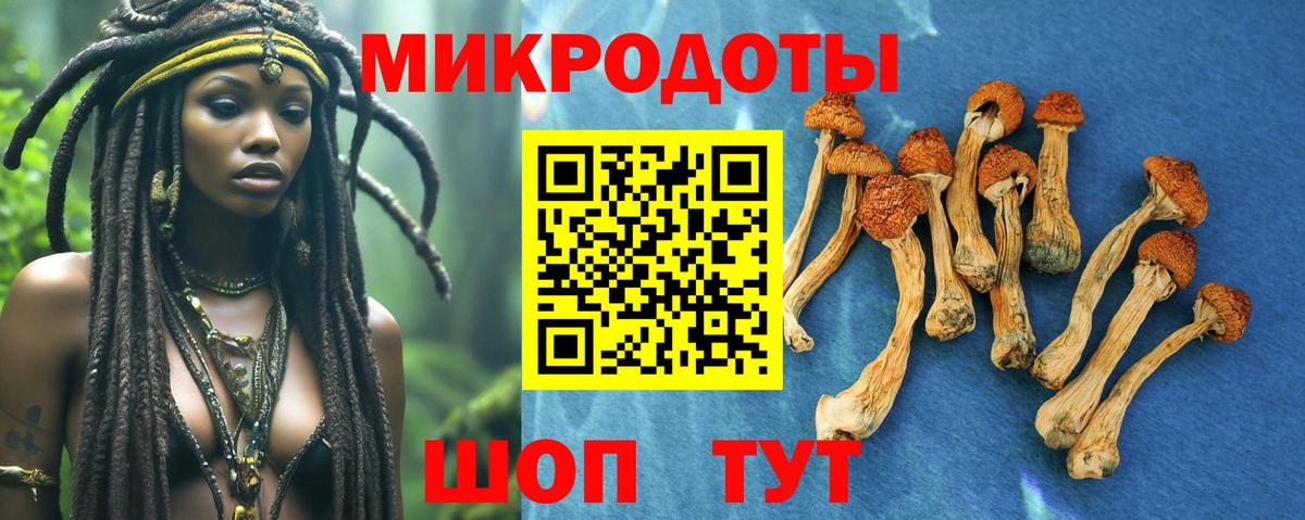 Псилоцибиновые грибы мицелий Шатура