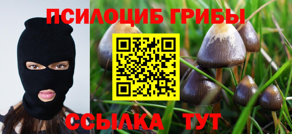 Галлюциногенные грибы GOLDEN TEACHER  Вход с VPN  Псилоцибиновые грибы Psilocybine cubensis  Шатура 